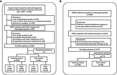 Clinical-radiomics nomogram using contrast-enhanced CT to predict histological grade and survival in pancreatic ductal adenocarcinoma